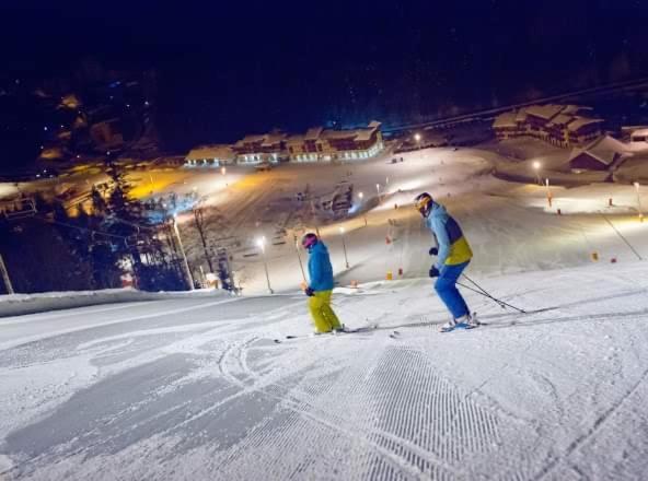 Chalet Spa Le Royal Nathalie Mn La Rouge La Bresse Zewnętrze zdjęcie